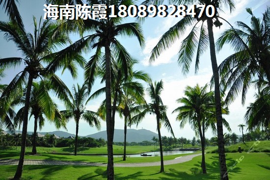 爱莲湾国际旅游度假区 两居  户型图