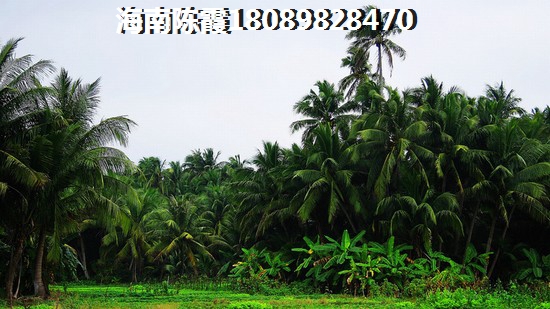 琅声园 一居  户型图