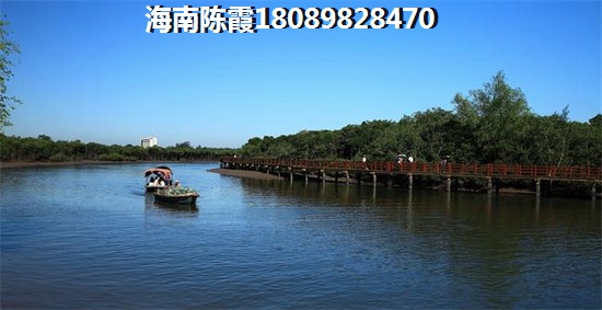 海洋国际 建筑规划 海洋国际