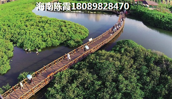 海洋国际 景观园林 海洋国际